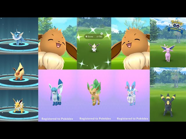 Tomorrow is Eevee community day! This will be the premier of shiny