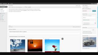 EZ Plug In Portfolio Adding Projects/Items
