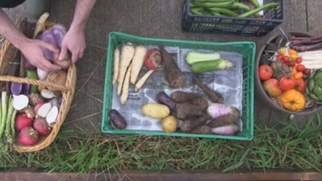 El Basque Culinary Center se pone manos a la obra en la huerta