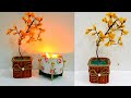 Look What i did With Grapes Stem and Woolen | Waste Grapes Stem Craft Ideas | Reuse Idea