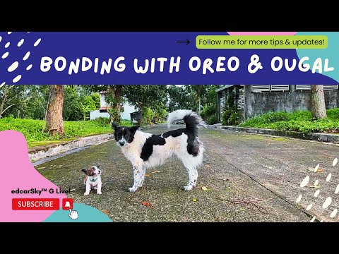 Kulitan with Oreo & Ougal
