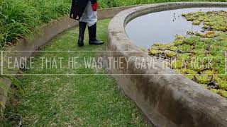 Napoleon Bicentenary series  - Longwood Gardens by St Helena Tourism 88 views 3 years ago 30 seconds