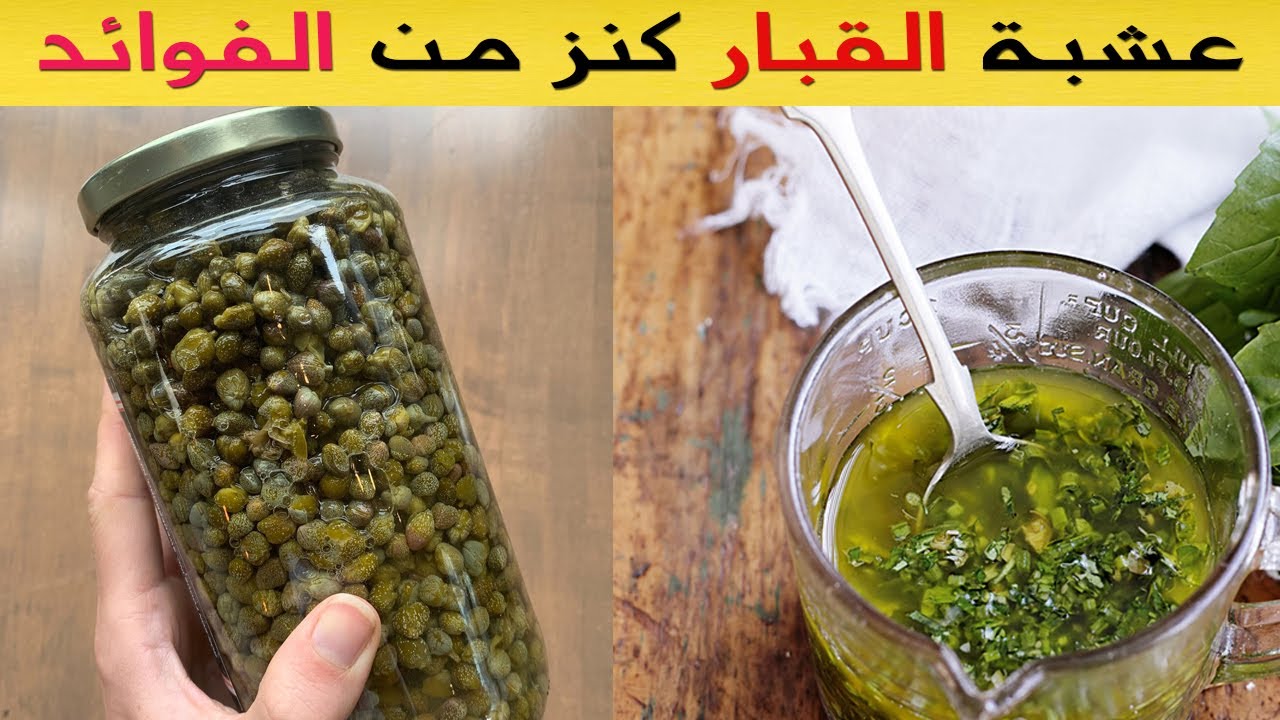 فوائد عشبة القبار - 13 فوائد صحية مذهلة ومتعددة لتناول الشفلح ستدهشك!