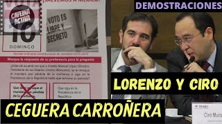 Demostraciones Lorenzo Y Ciro. Ceguera Carroñera.