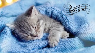 Sleepy Cat Music Box for Zen Vibes ♬ Music for Cats