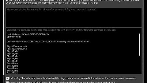 Squad- UE4 Game crash error