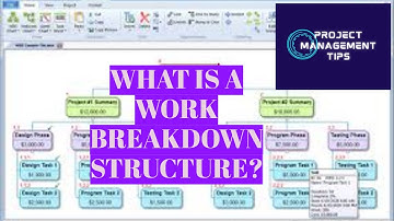 What is a Work Breakdown Structure (WBS)?