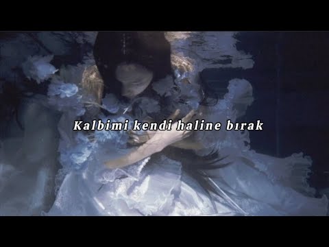 |Türkçe Çeviri| Palaye Royale - Hello Sunshine