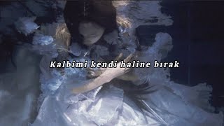 |Türkçe Çeviri| Palaye Royale - Hello Sunshine