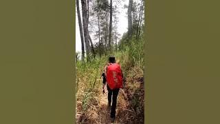 Dalan liyane by Woro Widowati gunung lawu