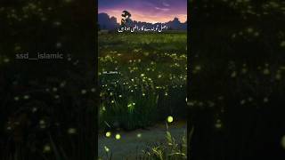 Hazrat Imam Ghazali r Afarmatay Han Khajmal Raza Adrishorts