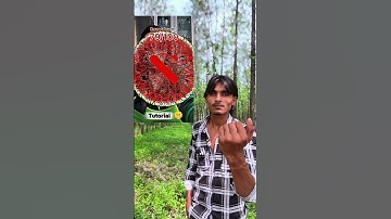 tutorial 100 cut watermelon filter 🤩💀 #100 #cut #filter #moneylove #funny #trending