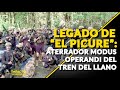 LEGADO DE “EL PICURE”: aterrador modus operandi del Tren del Llano | ⚫️ Venezuela Sin Filtro