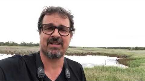 Act for Birds: Sean Dooley