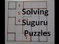 Solving Suguru Puzzles