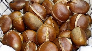 CASTAGNE AL FORNO PERFETTE CALDARROSTE E MARRONI FACILI DA SBUCCIARE