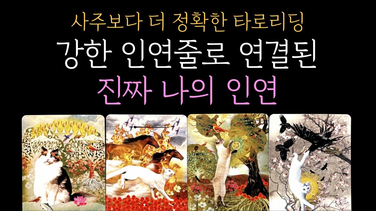 [타로] 99.9% 소름 리딩❗강한 인연 줄로 연결된 진짜 나의 인연