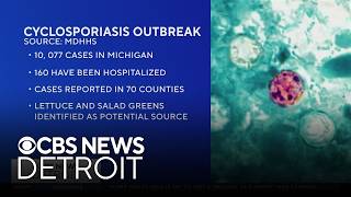 Michigan's cyclosporiasis outbreak hits 10,000 cases
