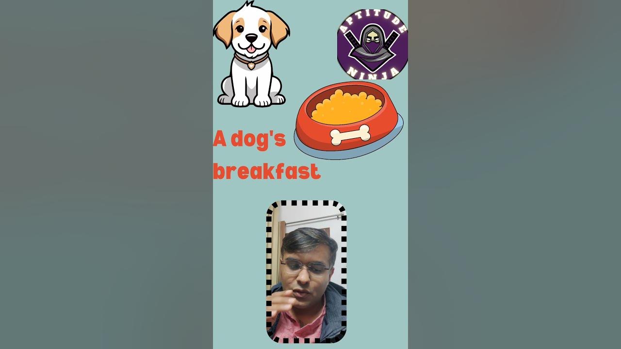 a-dog-s-breakfast-idiom-for-ssc-examinations-and-rrb-youtube