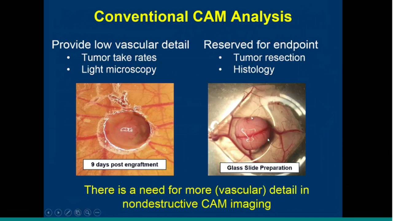 May 2016 Webinar:Ultrasound evaluation of PDX renal cell carcinoma in the chicken embryo model
