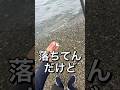 落ちてた魚を餌にすると…#fishing #釣りのサムネイル