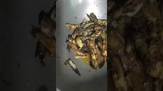 Nepal jhapa ko hile machha (Fish)️️