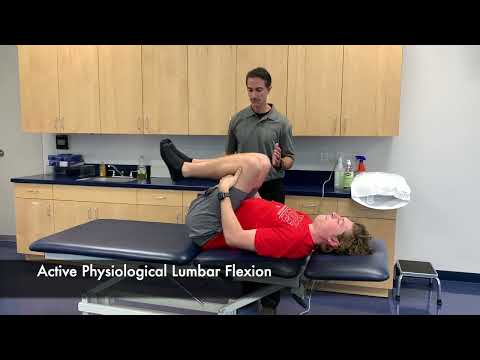 MSK2 Active Physiological Lumbar Flexion