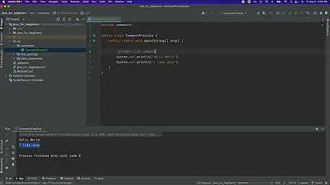 03   Documentation with comments