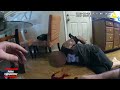 "Evading Arrest: Intense House Hideout With Police Gone Wrong"