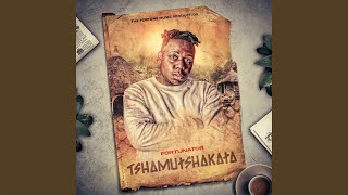 Fortunator - Shaya Shaya (Official Audio) feat. Mac J & Soundslucid