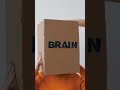 The "Brain Loop" Closure Hack 🧠📝 #curioquest #trending #didyouknow