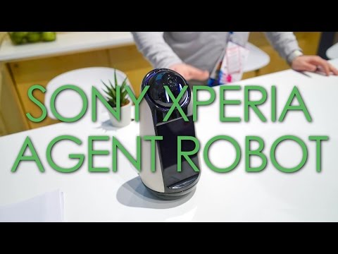 The Sony Agent is a digital assistant robot