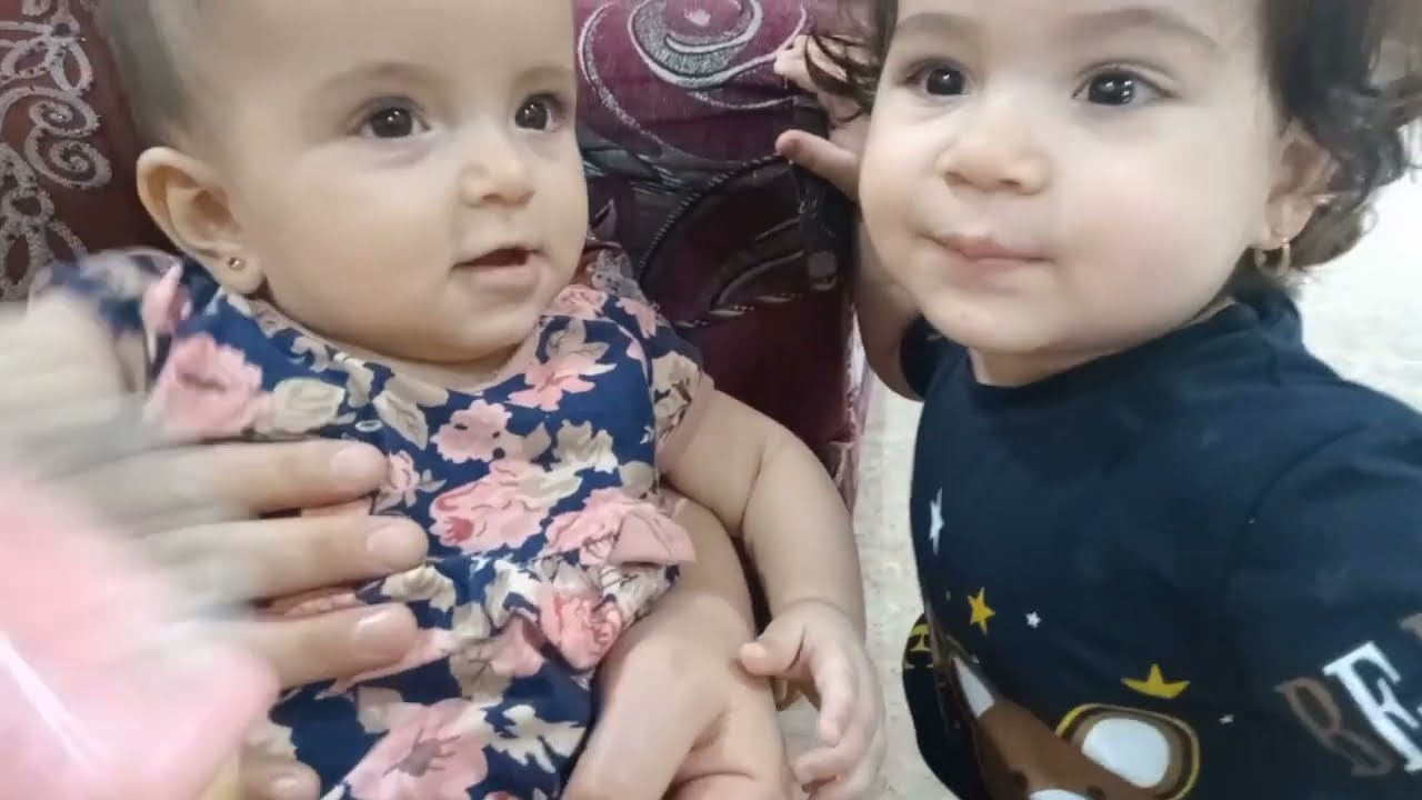 خواتي جو يمي همه وكتاكيتهم /اطيب تشريت حمص