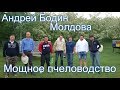 Пчеловодство Андрея Бодина. Молдавское пчеловодство