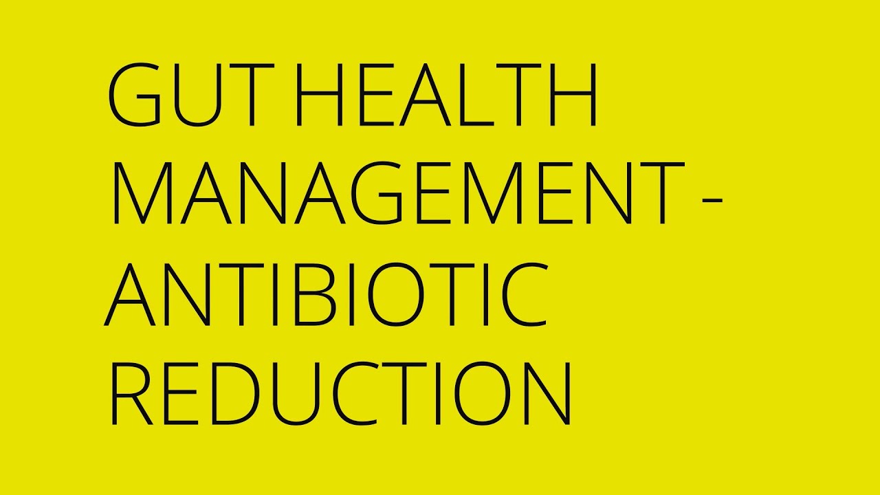 Gut Health Management - Antibiotic Reduction
