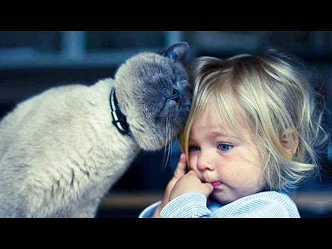 Another Reason Why Cats Are Evil Spawns Of The Devil