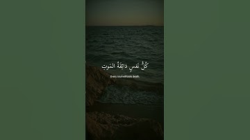 القارئ عبد الرحمن مسعد #سورة العنكبوت #عبدالرحمن_مسعد #قل يا عبادي الذين