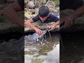 Lumalaban Pa Talaga! 🐠🐟🎣 Amazing Fish Fight Caught on Camera 😱 #Shorts