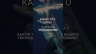 Коран #quran #коран #shorts