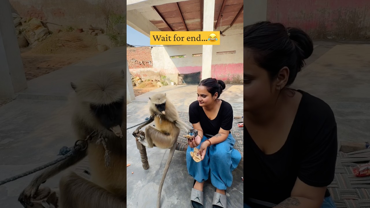 Wait for end….😂|| #snappygirls #shorts #trending #viral #funny