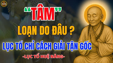 Lục Tổ Huệ Năng Dạy: Tâm Loạn Do Đâu? Cách Giải Tận Gốc Để Giữ Tâm An Giữa Đời Động