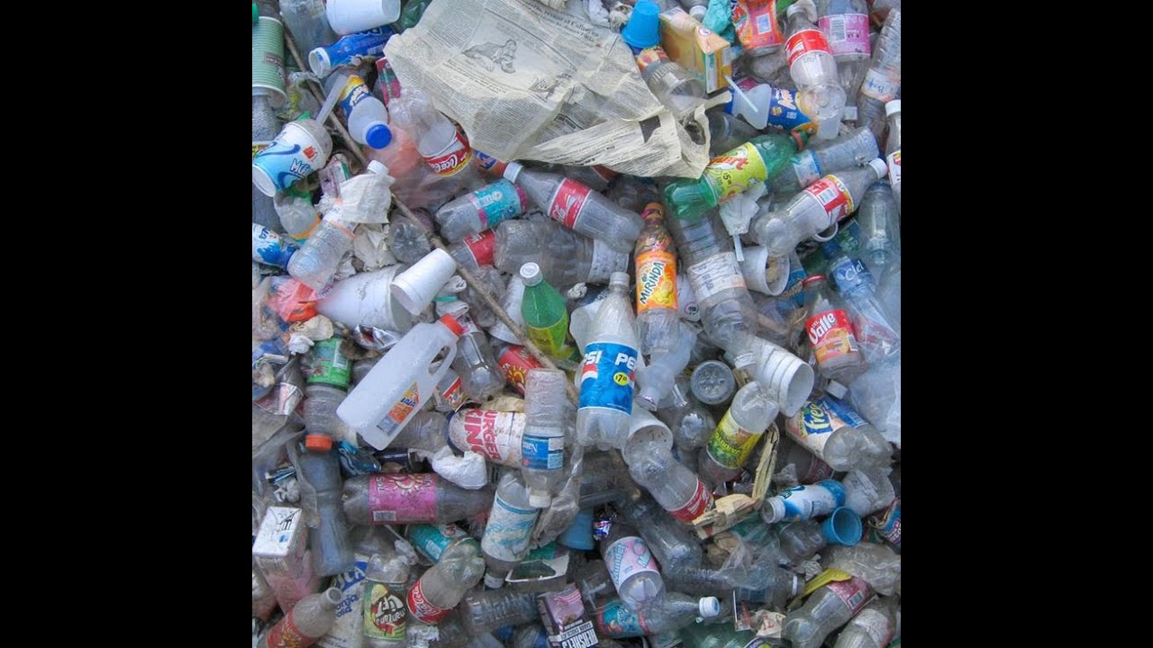 Éco save : les initiatives locales contre la pollution plastique