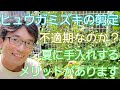 【ヒュウガミズキの剪定】適期を逃しても大丈夫！？庭木を夏に手入れするメリットもあります🌿☀️