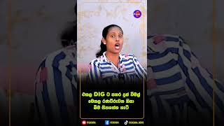 රණවිරුවන නිසා  විමල් බිම සිපගත්ත හැටි