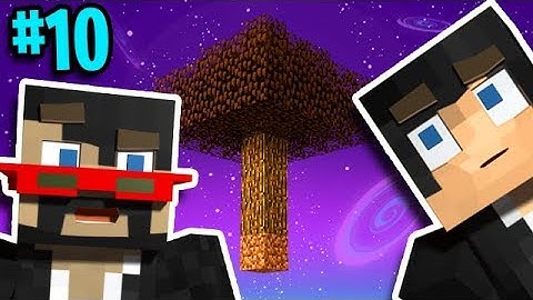 Minecraft: Sky Factory 4 w/ X33N Ep. 10