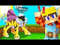HO CATTURATO RAIKOU POKEMON LEGGENDARIO SULLA PIXELMON!!