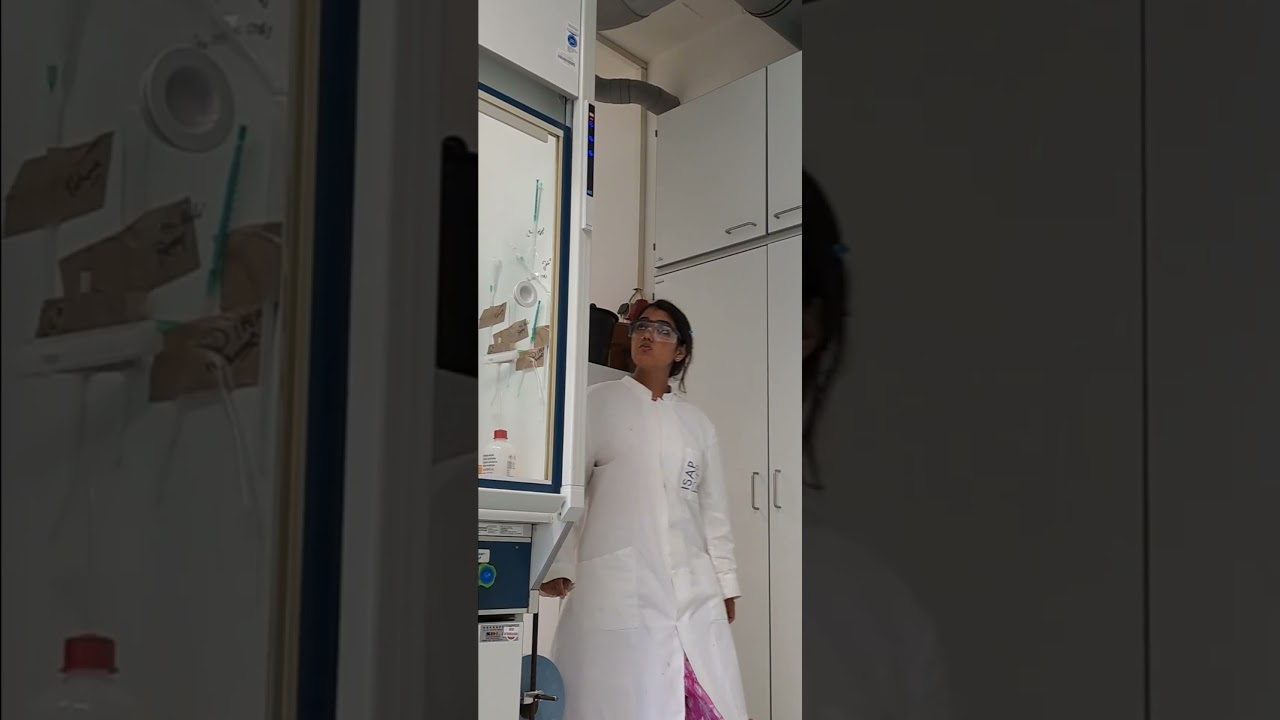 emergency exit from Chemistry Lab 