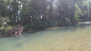 Meramec River - Float Trip for Rainbow Trout - July 2020