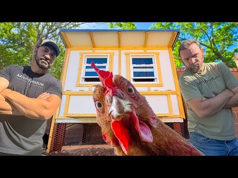 We Build an Eggcellent Chicken Coop