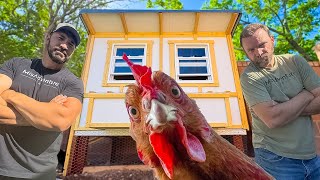 We Build an Eggcellent Chicken Coop